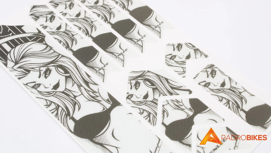 PROTECTOR CUADRO 3D STEREO ENLEE