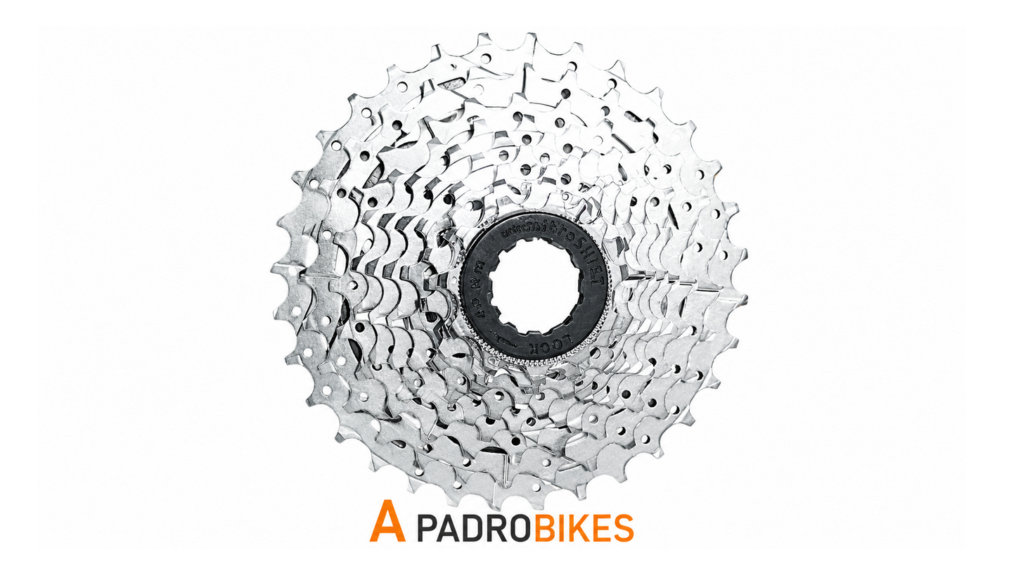 PIÑON 10 VEL CS-H100 MICROSHIFT