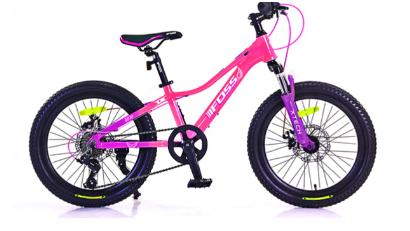 BICICLETA ARO 20 XC20 FOSS