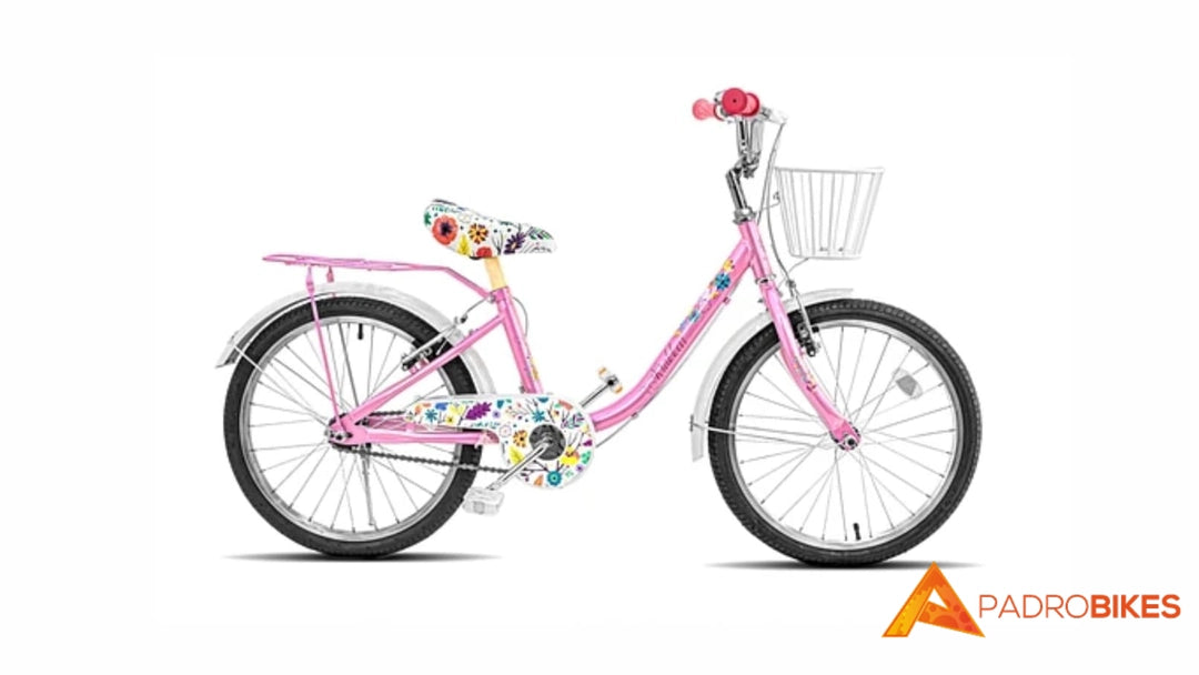 BICICLETA ARO 20 IRIS KRAKKEN