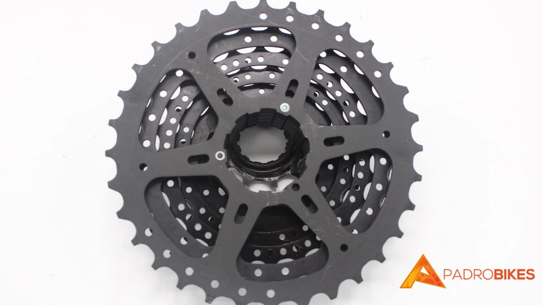 PIÑON ALTUS CS-HG31-8 SHIMANO