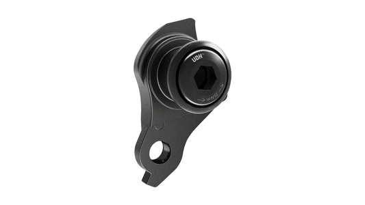 FUSIBLE SRAM UDH A1 POSTIZA CAMBIO UNIVERSAL AM AC UDH SRAM