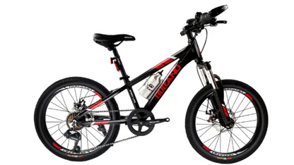 BICICLETA ARO 20 BCCO KRAKKEN