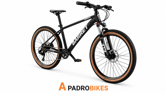 BICICLETA ARO 29 OMEGA BARRET