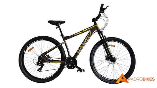 BICICLETA ARO 29 AVALANCHE BARRET